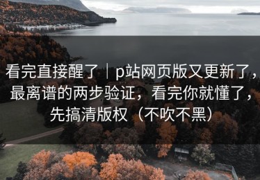 看完直接醒了｜p站网页版又更新了，最离谱的两步验证，看完你就懂了，先搞清版权（不吹不黑）