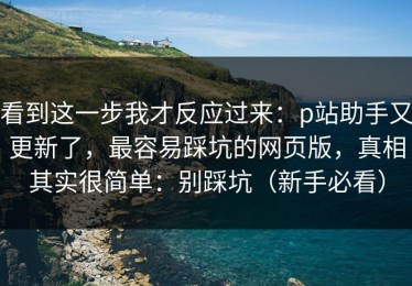 看到这一步我才反应过来：p站助手又更新了，最容易踩坑的网页版，真相其实很简单：别踩坑（新手必看）