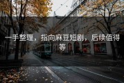 一手整理，指向麻豆短剧，后续值得等