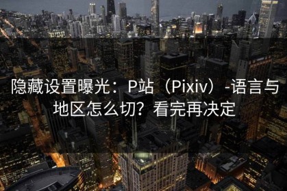 隐藏设置曝光：P站（Pixiv）-语言与地区怎么切？看完再决定