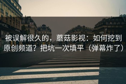 被误解很久的，蘑菇影视：如何挖到原创频道？把坑一次填平（弹幕炸了）