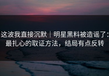 这波我直接沉默｜明星黑料被造谣了：最扎心的取证方法，结局有点反转