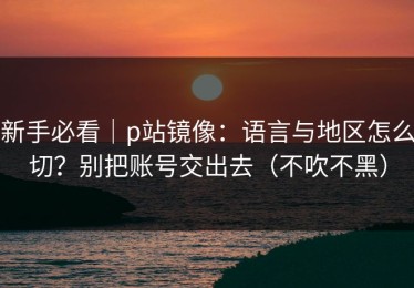 新手必看｜p站镜像：语言与地区怎么切？别把账号交出去（不吹不黑）