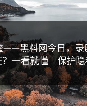 一篇讲透——黑料网今日，录屏如何验证？一看就懂｜保护隐私