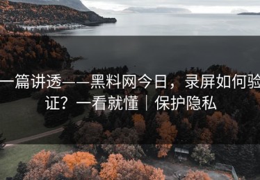 一篇讲透——黑料网今日，录屏如何验证？一看就懂｜保护隐私