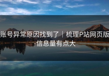 账号异常原因找到了｜梳理P站网页版-信息量有点大
