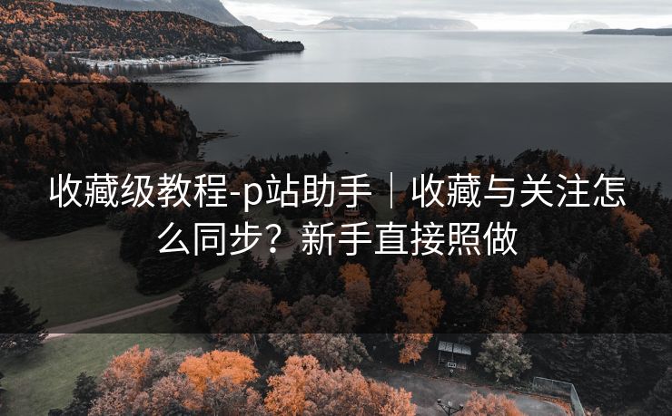 收藏级教程-p站助手|收藏与关注怎么同步?新手直接照做 收藏级教程-p站助手|收藏与关注怎么同步?新手直接照做