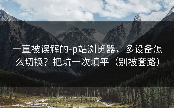 一直被误解的-p站浏览器,多设备怎么切换?把坑一次填平(别被套路) 一直被误解的-p站浏览器,多设备怎么切换?把坑一次填平(别被套路)