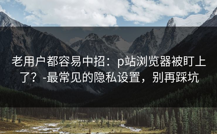 老用户都容易中招:p站浏览器被盯上了?-最常见的隐私设置,别再踩坑 老用户都容易中招:p站浏览器被盯上了?-最常见的隐私设置,别再踩坑