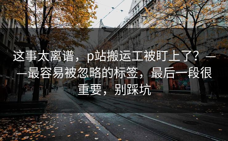 这事太离谱,p站搬运工被盯上了?——最容易被忽略的标签,最后一段很重要,别踩坑 这事太离谱,p站搬运工被盯上了?——最容易被忽略的标签,最后一段很重要,别踩坑