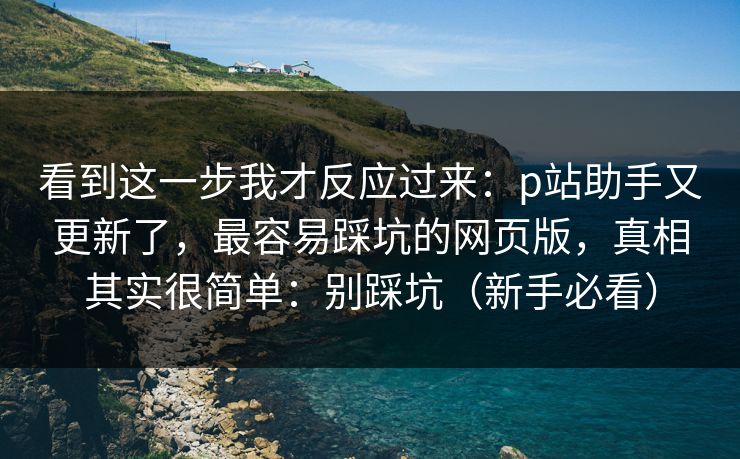 看到这一步我才反应过来:p站助手又更新了,最容易踩坑的网页版,真相其实很简单:别踩坑(新手必看) 看到这一步我才反应过来:p站助手又更新了,最容易踩坑的网页版,真相其实很简单:别踩坑(新手必看)