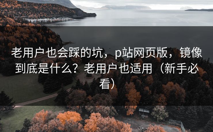 老用户也会踩的坑,p站网页版,镜像到底是什么?老用户也适用(新手必看) 老用户也会踩的坑,p站网页版,镜像到底是什么?老用户也适用(新手必看)