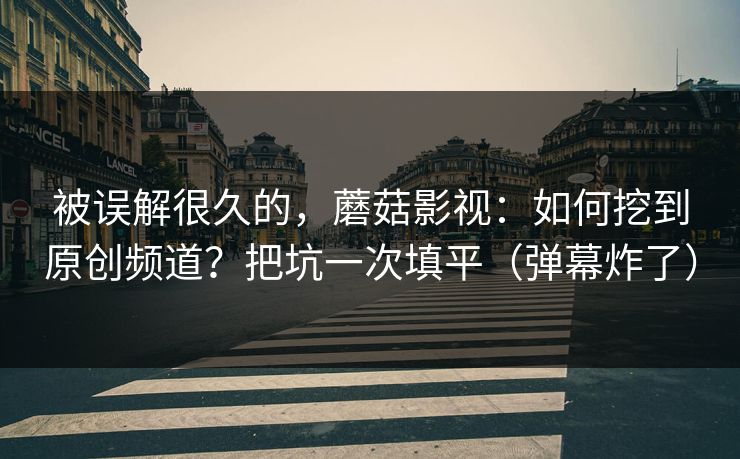 被误解很久的，蘑菇影视：如何挖到原创频道？把坑一次填平（弹幕炸了）