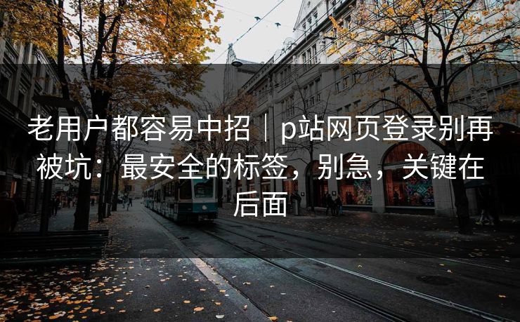 老用户都容易中招｜p站网页登录别再被坑：最安全的标签，别急，关键在后面