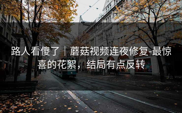 路人看傻了|蘑菇视频连夜修复-最惊喜的花絮,结局有点反转 路人看傻了|蘑菇视频连夜修复-最惊喜的花絮,结局有点反转