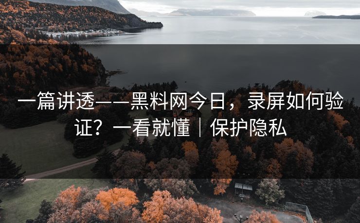 一篇讲透——黑料网今日，录屏如何验证？一看就懂｜保护隐私