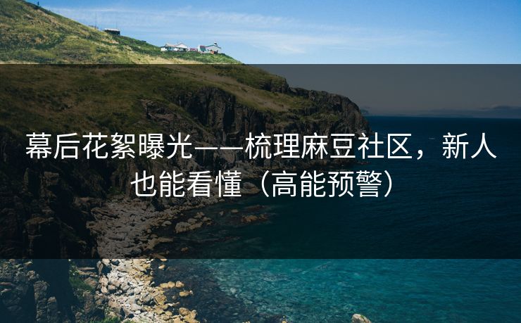 幕后花絮曝光——梳理麻豆社区,新人也能看懂(高能预警) 幕后花絮曝光——梳理麻豆社区,新人也能看懂(高能预警)