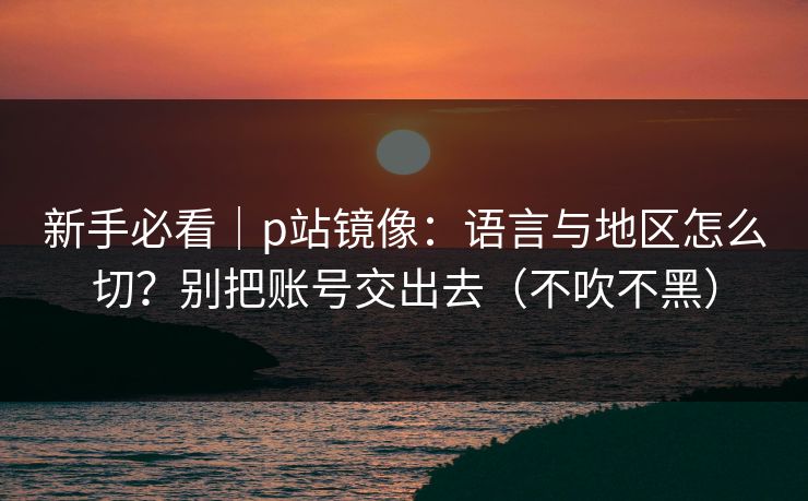新手必看｜p站镜像：语言与地区怎么切？别把账号交出去（不吹不黑）